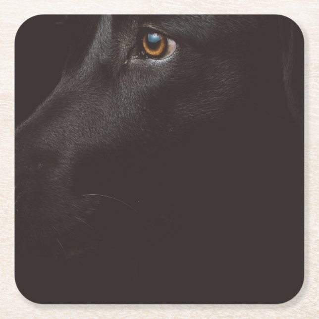 black lab square paper coaster (Front)