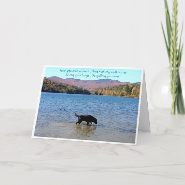 Black Lab Sympathy Card - Dog Sympathy - Pet Loss (Front)