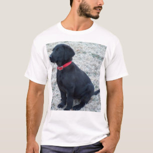 Black Lab T-Shirt