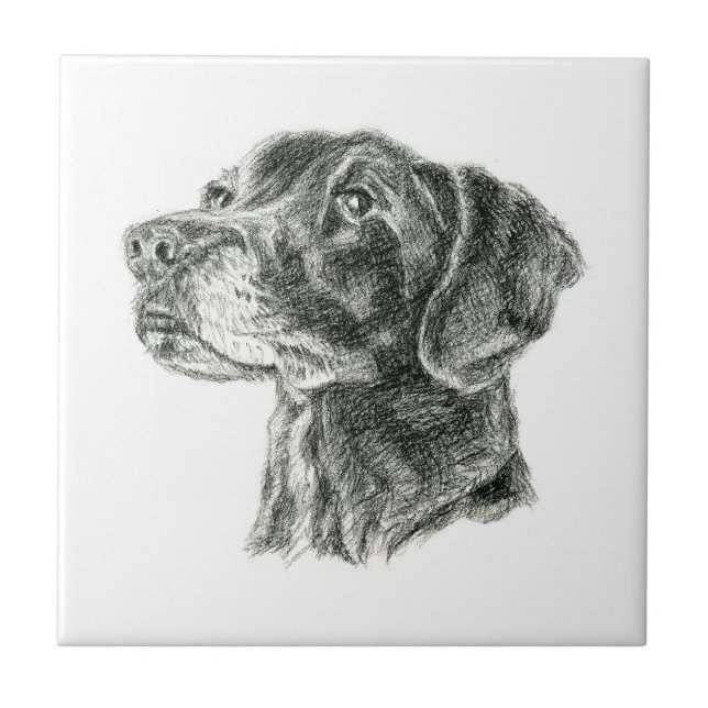 Black Lab Tile (Front)