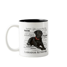 Black Lab Traits Mug