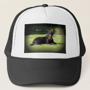 Black Lab Trucker Hat