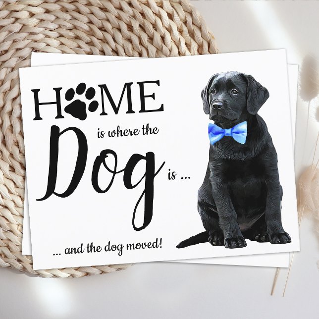 Black Lab We've Moved Dog Moving Announcement Postcard (Creator Uploaded)