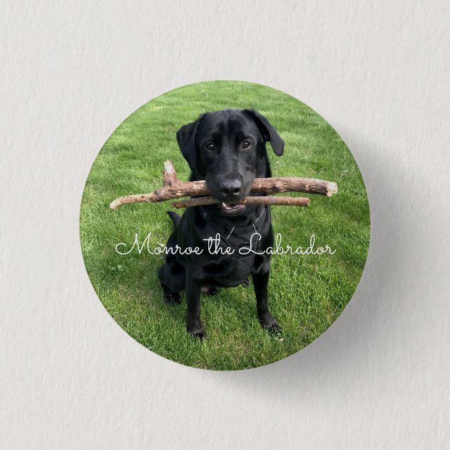 Black Lab with two sticks Dog Photo and Name 3 Cm Round Badge (Front)