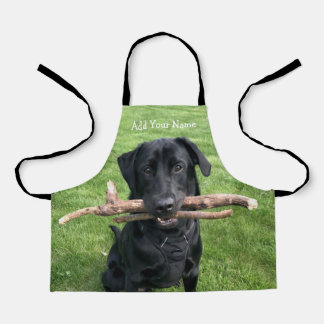 Black Lab with two sticks Dog Photo Apron