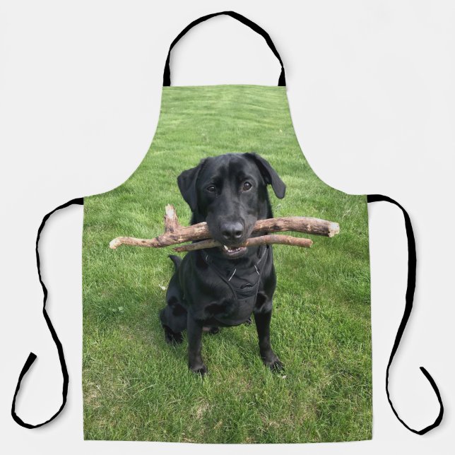 Black Lab with two sticks Dog Photo Apron (Front)