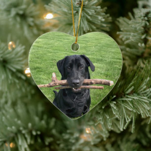 Black Lab with two sticks Dog Photo Ceramic Tree Decoration