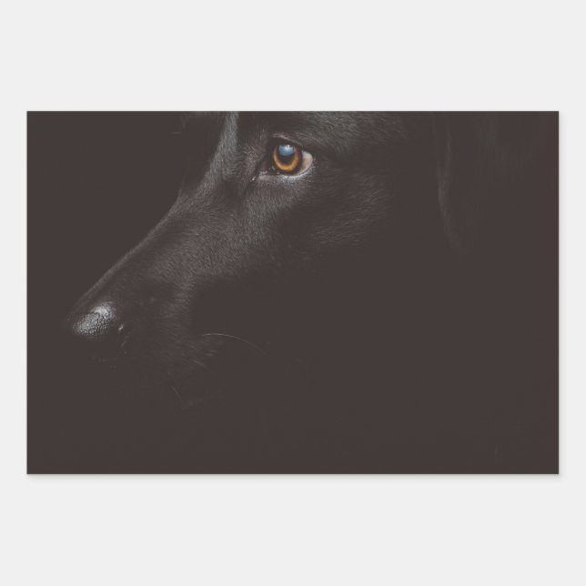 black lab wrapping paper sheet (Front)