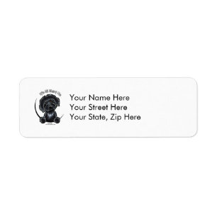 Black Labradodle IAAM