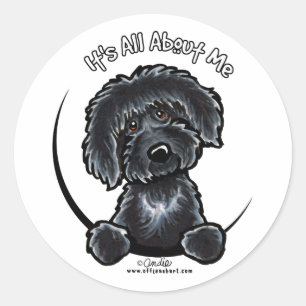 Black Labradodle IAAM Classic Round Sticker