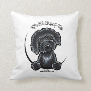 Black Labradodle IAAM Cushion