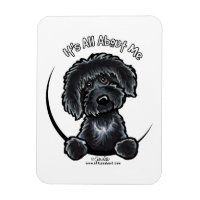 Black Labradodle IAAM