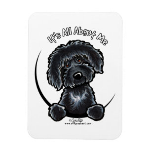 Black Labradodle IAAM Magnet