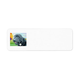 Black Labradoodle