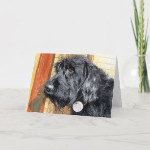 Black Labradoodle #1 Greeting Cards