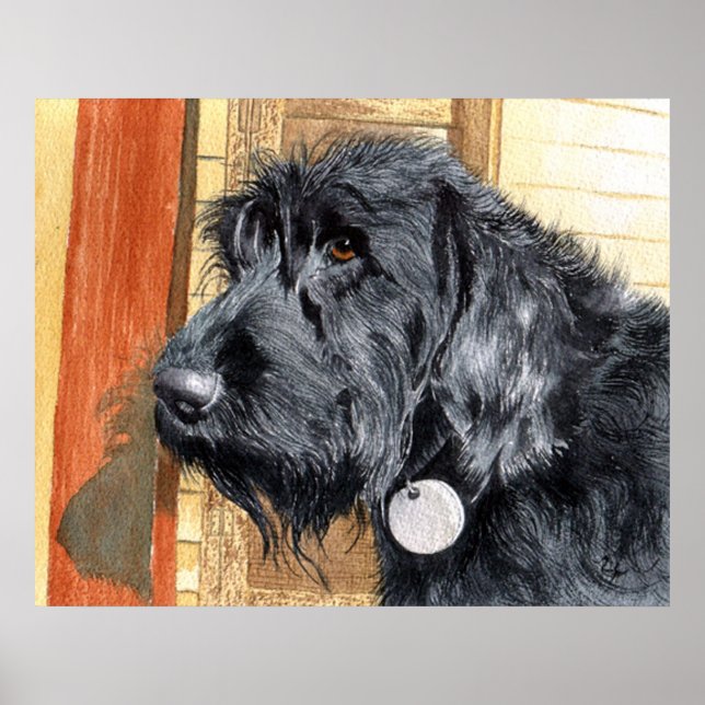 Black Labradoodle #1 Print (Front)