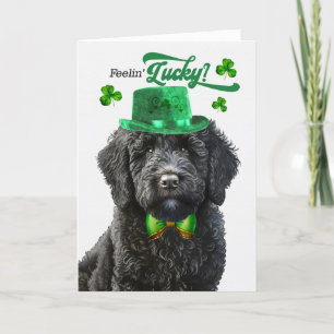 Black Labradoodle Feelin' Lucky St Patrick's Day Holiday Card