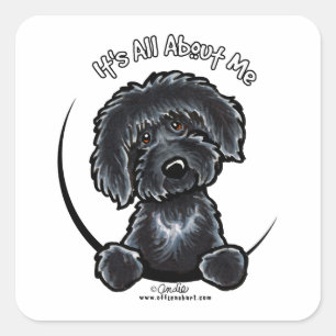 Black Labradoodle IAAM Square Sticker