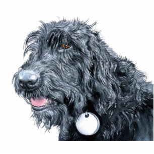 Black Labradoodle Scupture Standing Photo Sculpture