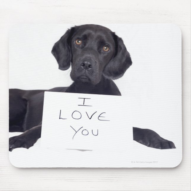 Black Labrador 13 Months Mouse Mat (Front)