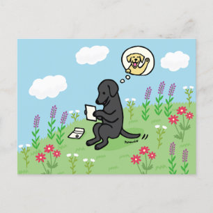 Black Labrador and Letter from a Friend Postcard