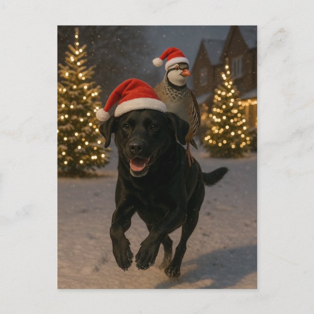 Black Labrador and Partridge Christmas postcard (Front)