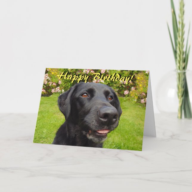 Black labrador birthday card (Front)