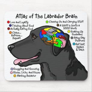 Black Labrador Brain Atlas Mouse Mat