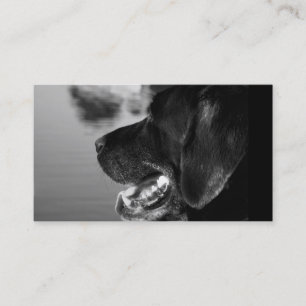 BLACK LABRADOR - Business Card Template