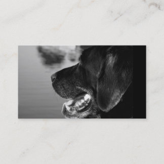 BLACK LABRADOR - Business Card Template
