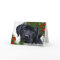 Black Labrador Christmas Card