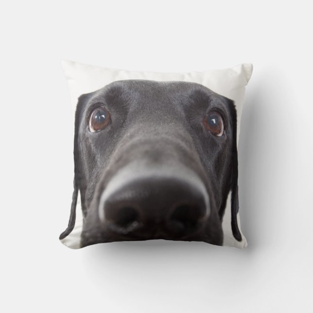 Black Labrador Closeup Portrait Cushion (Front)