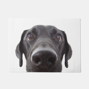 Black Labrador Closeup Portrait Doormat