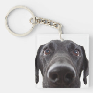 Black Labrador Closeup Portrait Key Ring