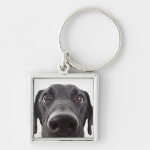 Black Labrador Closeup Portrait Key Ring