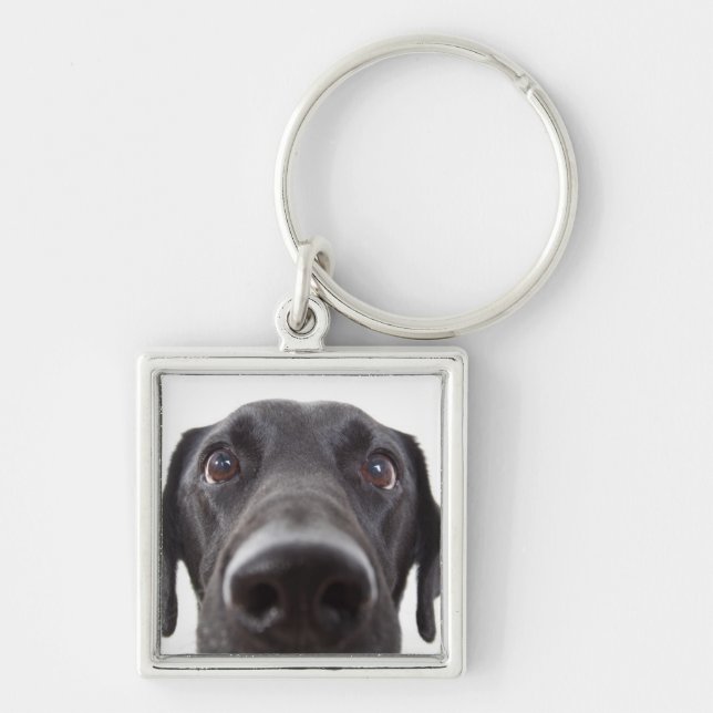Black Labrador Closeup Portrait Key Ring (Front)