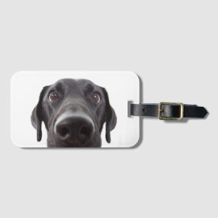 Black Labrador Closeup Portrait Luggage Tag
