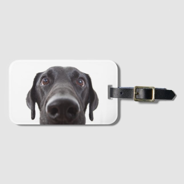 Black Labrador Closeup Portrait Luggage Tag (Front Horizontal)