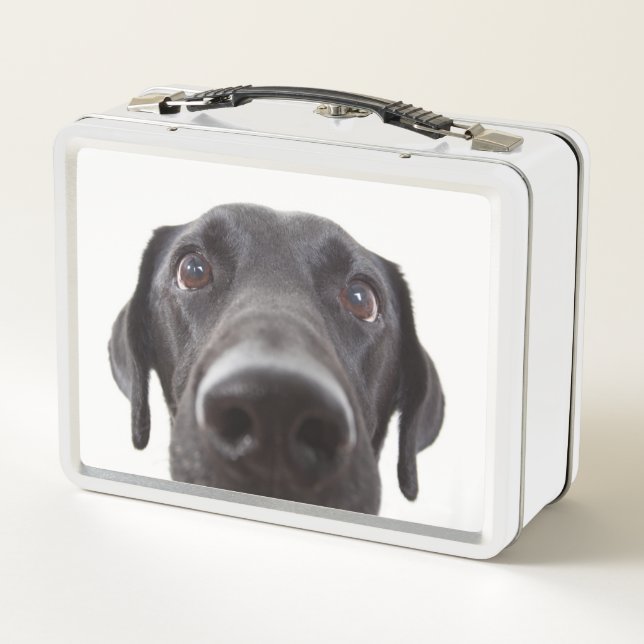 Black Labrador Closeup Portrait Metal Lunch Box (Back)