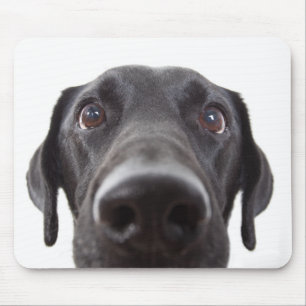 Black Labrador Closeup Portrait Mouse Mat