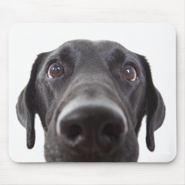Black Labrador Closeup Portrait Mouse Mat (Front)