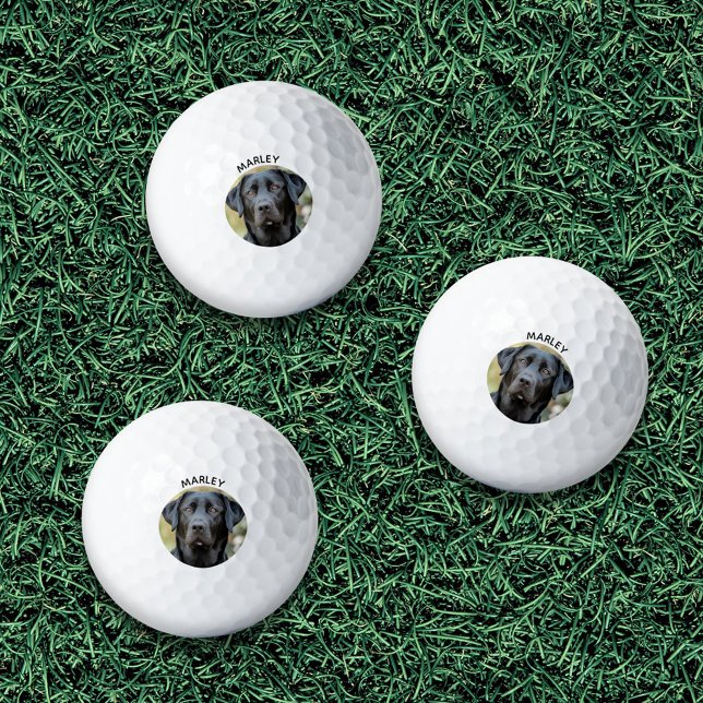 Black Labrador, Custom Photo Golf Balls (Black Labrador, Custom Photo Golf Balls)