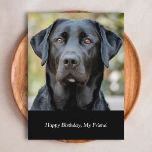 Black Labrador, Custom Photo Postcard