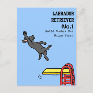 Black Labrador Diving Cartoon Postcard