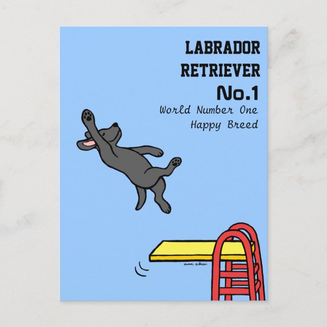 Black Labrador Diving Cartoon Postcard (Front)