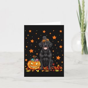 Black Labrador Dog And Pumpkin Candy Funny Card
