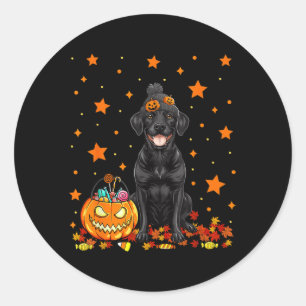 Black Labrador Dog And Pumpkin Candy Funny Classic Round Sticker