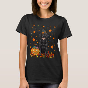 Black Labrador Dog And Pumpkin Candy Funny T-Shirt