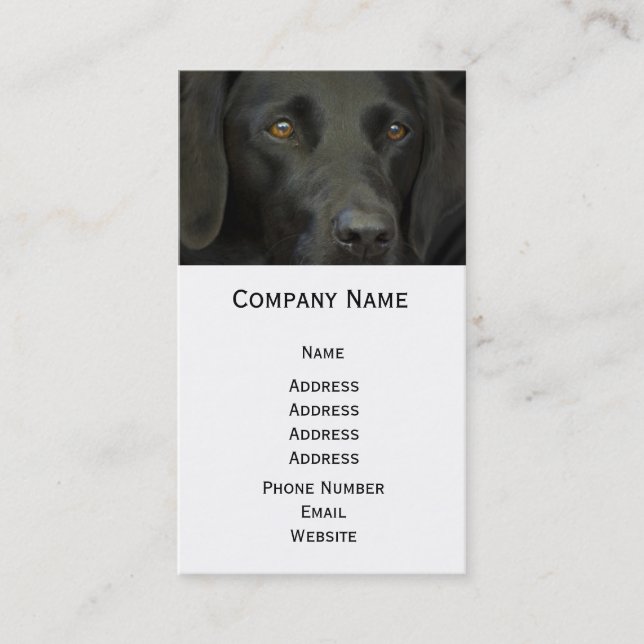 Black Labrador Dog Business Card (Front)