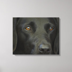 Black Labrador Dog Canvas Print
